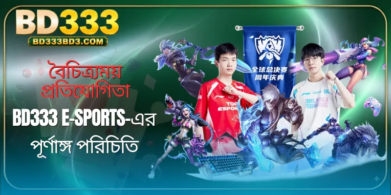 bd333-e-sports-overview
