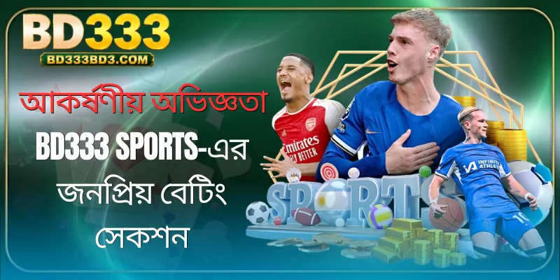 bd333-sports-overview
